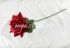 Роза одиночная бархатная с пенопластом "FITTONE", выс.62см, диам.14см, цв.красный