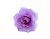 image-category-1393