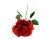 image-category-1683