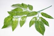 Ветка манго "FITTONE", 15л, выс.73см, с принтом, цв.зеленый Ветка манго "FITTONE", 15л, выс.73см, с принтом, цв.зеленый