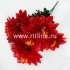 Букет хризантем "FITTONE", 6г., выс. 48см, цв.микс