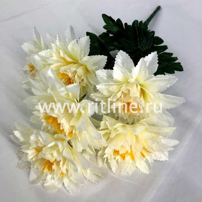 Букет хризантем "FITTONE", 6г., выс. 48см, цв.микс Букет хризантем "FITTONE", 6г., выс. 48см, цв.микс