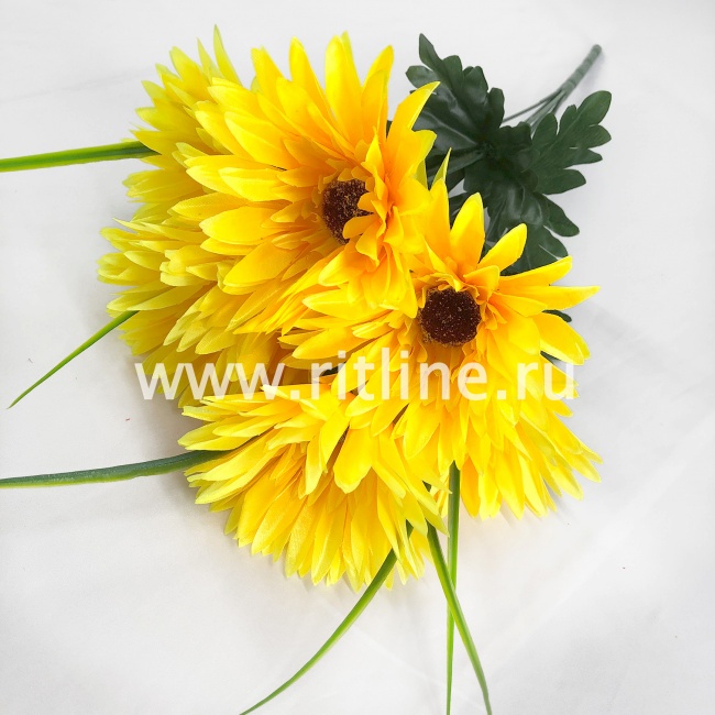 Букет гербер "FITTONE", 7г., выс. 50см, цв.микс Букет гербер "FITTONE", 7г., выс. 50см, цв.микс