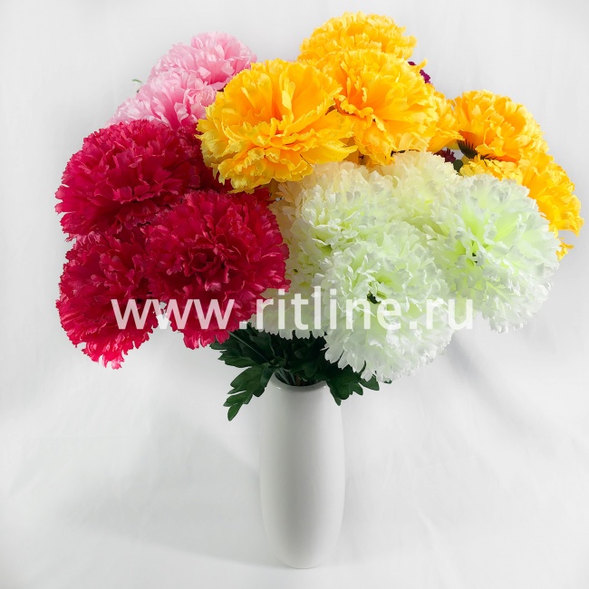 Букет гвоздик "FITTONE", 7г., выс. 51см, цв.микс Букет гвоздик "FITTONE", 7г., выс. 51см, цв.микс