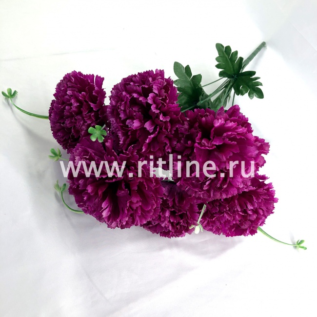 Букет гвоздик "FITTONE", 7г., выс. 51см, цв.микс Букет гвоздик "FITTONE", 7г., выс. 51см, цв.микс