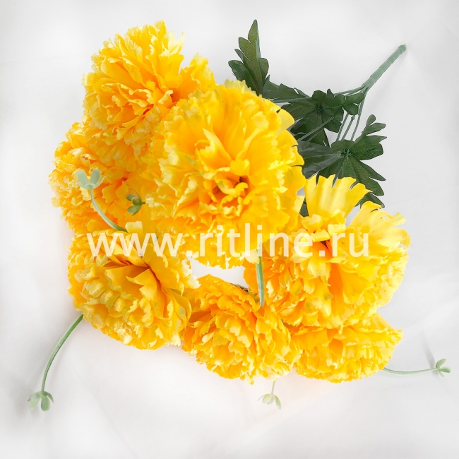 Букет гвоздик "FITTONE", 7г., выс. 51см, цв.микс Букет гвоздик "FITTONE", 7г., выс. 51см, цв.микс