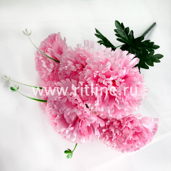 Букет гвоздик "FITTONE", 7г., выс. 51см, цв.микс Букет гвоздик "FITTONE", 7г., выс. 51см, цв.микс