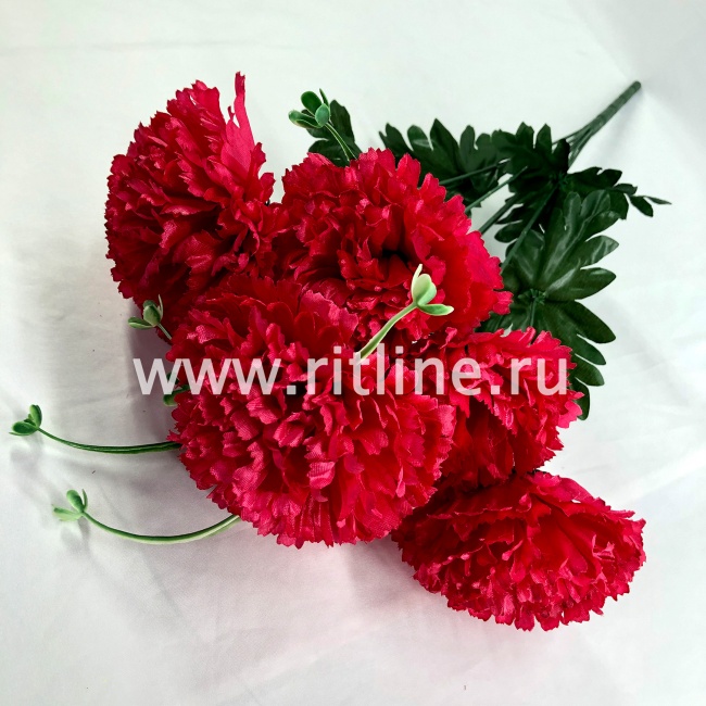 Букет гвоздик "FITTONE", 7г., выс. 51см, цв.микс Букет гвоздик "FITTONE", 7г., выс. 51см, цв.микс