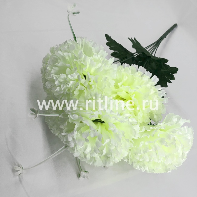 Букет гвоздик "FITTONE", 7г., выс. 51см, цв.микс Букет гвоздик "FITTONE", 7г., выс. 51см, цв.микс