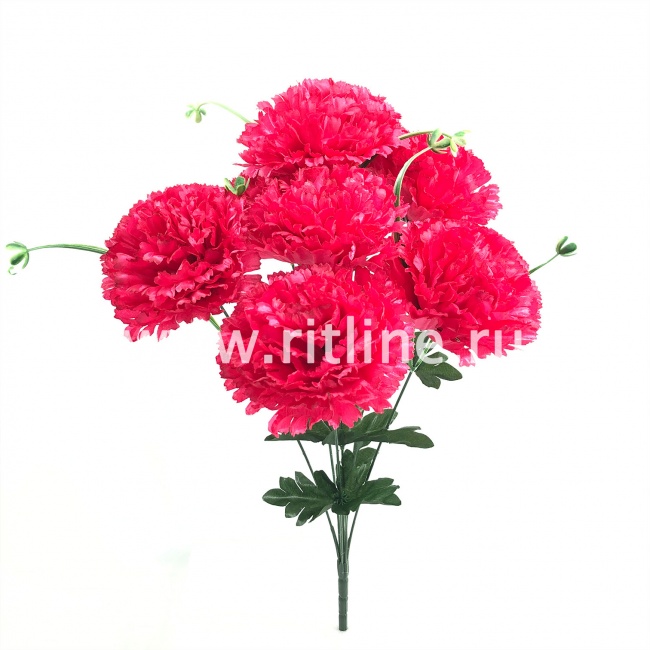 Букет гвоздик "FITTONE", 7г., выс. 51см, цв.микс Букет гвоздик "FITTONE", 7г., выс. 51см, цв.микс