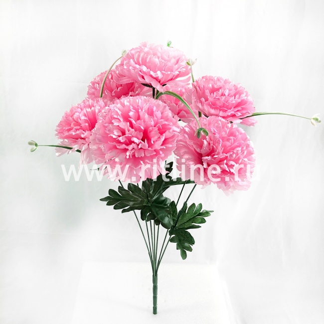 Букет гвоздик "FITTONE", 7г., выс. 51см, цв.микс Букет гвоздик "FITTONE", 7г., выс. 51см, цв.микс