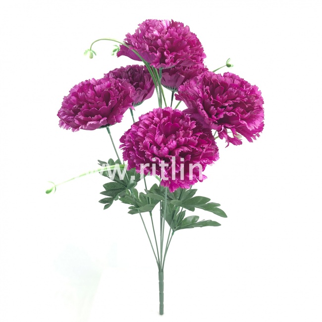 Букет гвоздик "FITTONE", 7г., выс. 51см, цв.микс Букет гвоздик "FITTONE", 7г., выс. 51см, цв.микс