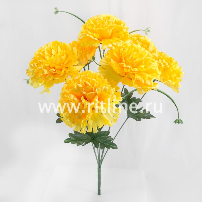 Букет гвоздик "FITTONE", 7г., выс. 51см, цв.микс Букет гвоздик "FITTONE", 7г., выс. 51см, цв.микс