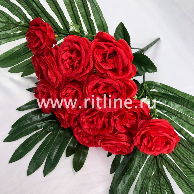 Букет роз с белыми цветами и зеленью "FITTONE", 15г., выс. 40см, цв.микс