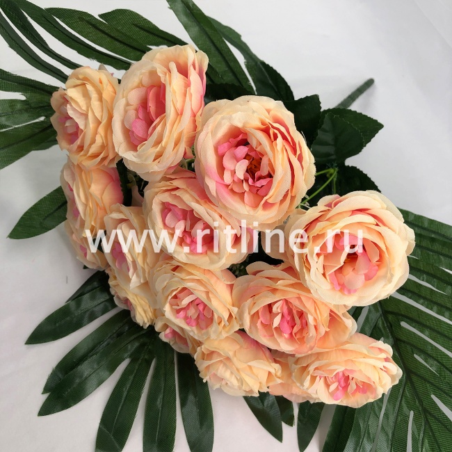 Букет роз с белыми цветами и зеленью "FITTONE", 15г., выс. 40см, цв.микс