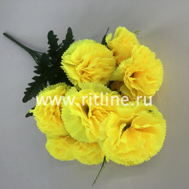 Букет гвоздик "FITTONE", 10г., выс. 55см, цв.микс