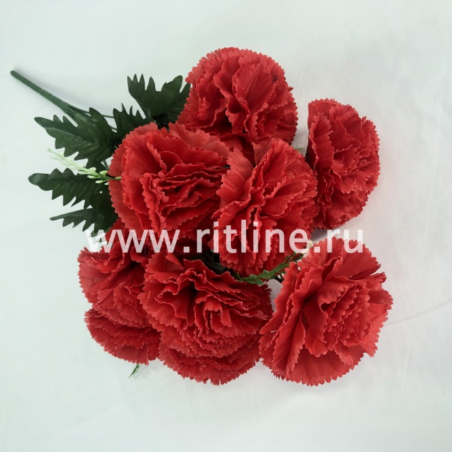 Букет гвоздик "FITTONE", 10г., выс. 55см, цв.микс