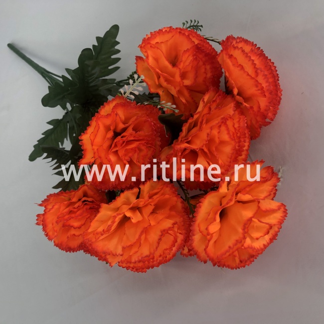 Букет гвоздик "FITTONE", 10г., выс. 55см, цв.микс