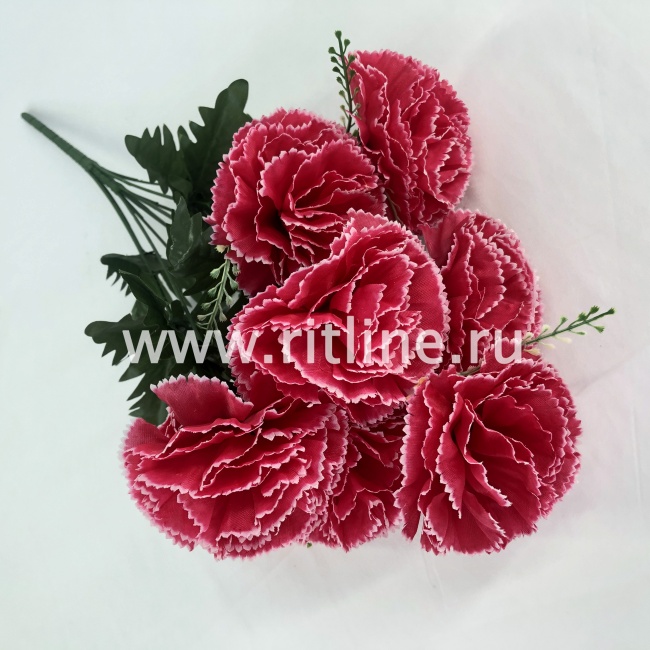 Букет гвоздик "FITTONE", 10г., выс. 55см, цв.микс