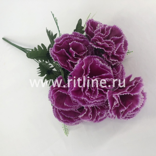 Букет гвоздик "FITTONE", 10г., выс. 55см, цв.микс