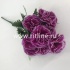 Букет гвоздик "FITTONE", 10г., выс. 55см, цв.микс