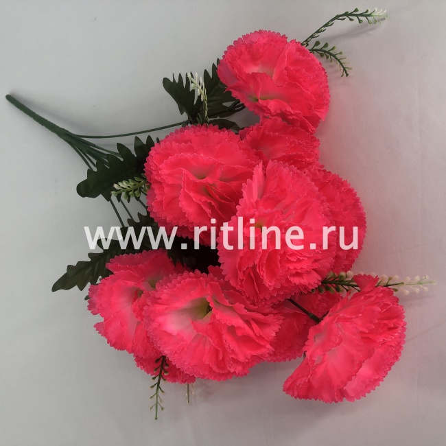 Букет гвоздик "FITTONE", 10г., выс. 55см, цв.микс