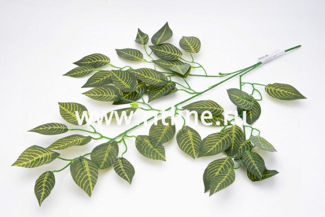 Ветка фикуса "FITTONE", 42л, высота 60см, с принтом, цв.зеленый