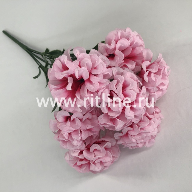 Букет бархатцев "FITTONE", 7г., выс. 44см, цв.микс