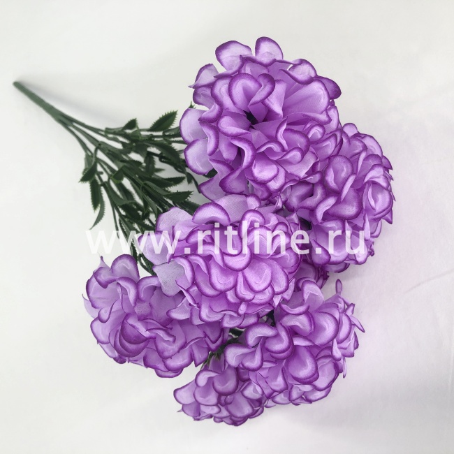 Букет бархатцев "FITTONE", 7г., выс. 44см, цв.микс