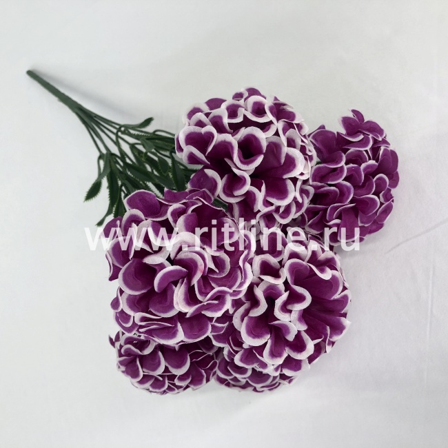 Букет бархатцев "FITTONE", 7г., выс. 44см, цв.микс