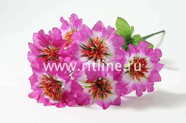 Букет георгинов "FITTONE", 6г., выс. 38см, шелк, цв.микс