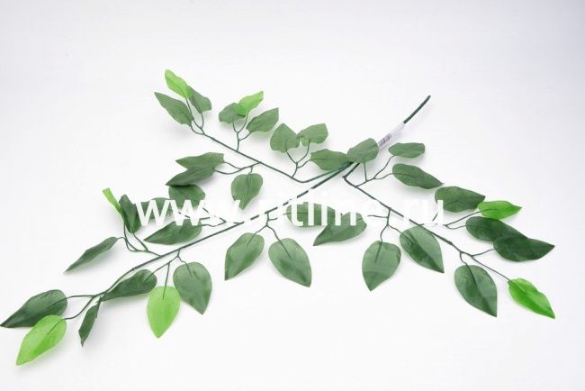 Ветка фикуса "FITTONE", 39л, выс.60см, цв.зеленый