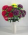 Букет гвоздик "FITTONE", 10г., выс. 57см, цв.микс