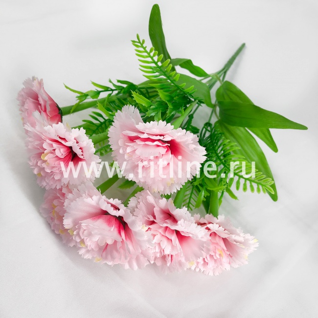 Букет гвоздик, 7г., выс. 35 см, цв. микс FITTONE Букет гвоздик, 7г., выс. 35 см, цв. микс FITTONE