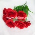 Букет гвоздик "FITTONE", 7г., выс. 35см, цв.микс
