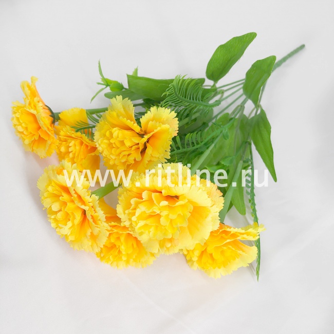 Букет гвоздик, 7г., выс. 35 см, цв. микс FITTONE Букет гвоздик, 7г., выс. 35 см, цв. микс FITTONE