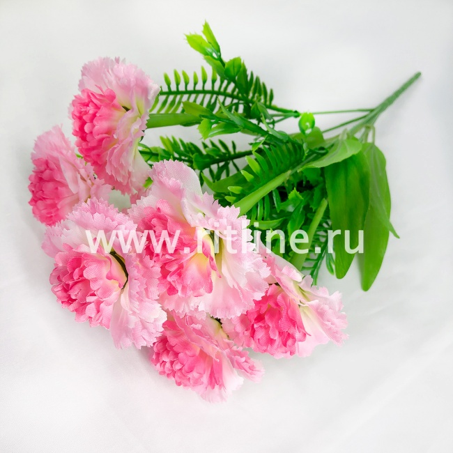 Букет гвоздик, 7г., выс. 35 см, цв. микс FITTONE Букет гвоздик, 7г., выс. 35 см, цв. микс FITTONE