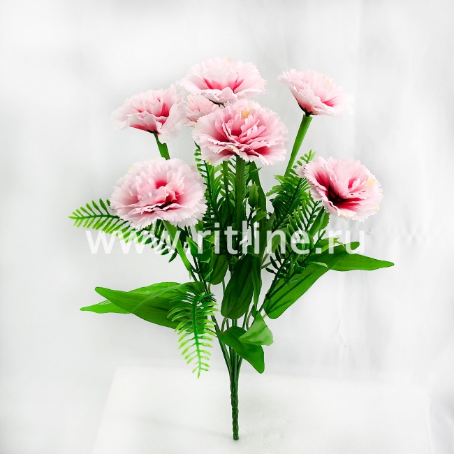 Букет гвоздик, 7г., выс. 35 см, цв. микс FITTONE Букет гвоздик, 7г., выс. 35 см, цв. микс FITTONE