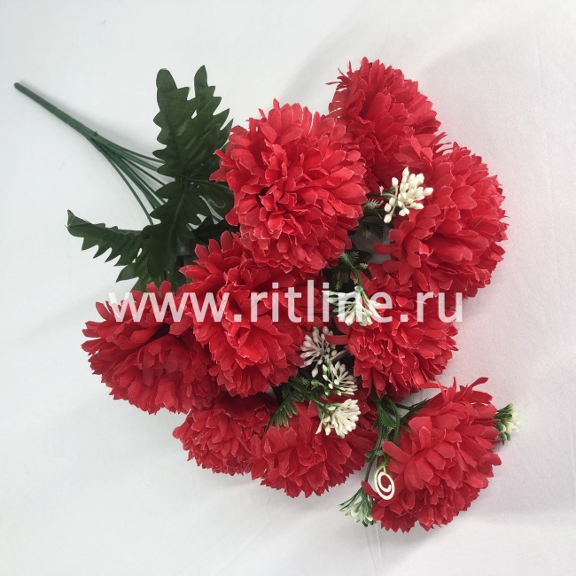 Букет гвоздик "FITTONE", 9г., выс. 55см, цв.микс