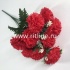 Букет гвоздик "FITTONE", 9г., выс. 55см, цв.микс