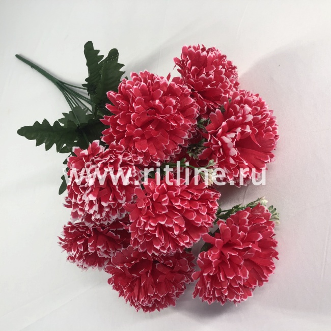 Букет гвоздик "FITTONE", 9г., выс. 55см, цв.микс