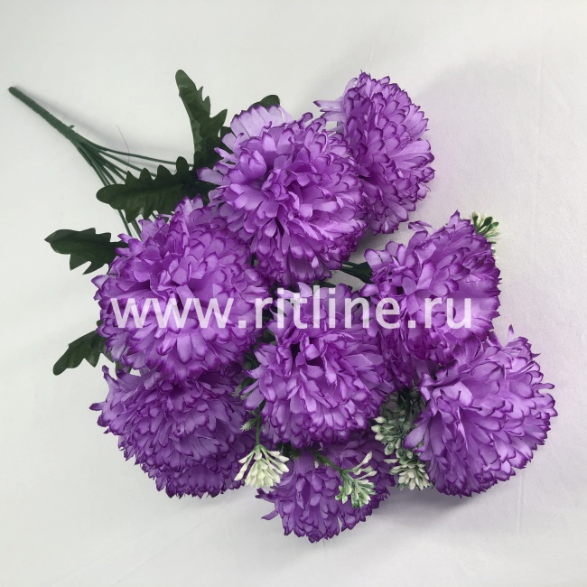 Букет гвоздик "FITTONE", 9г., выс. 55см, цв.микс