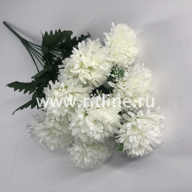 Букет гвоздик "FITTONE", 9г., выс. 55см, цв.микс