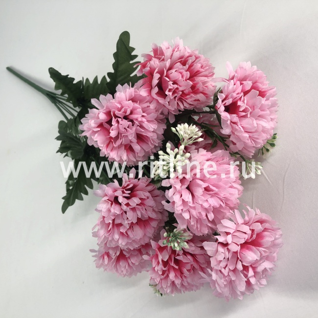 Букет гвоздик "FITTONE", 9г., выс. 55см, цв.микс