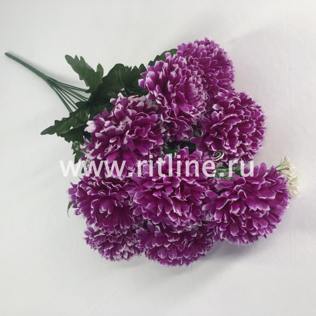 Букет гвоздик "FITTONE", 9г., выс. 55см, цв.микс