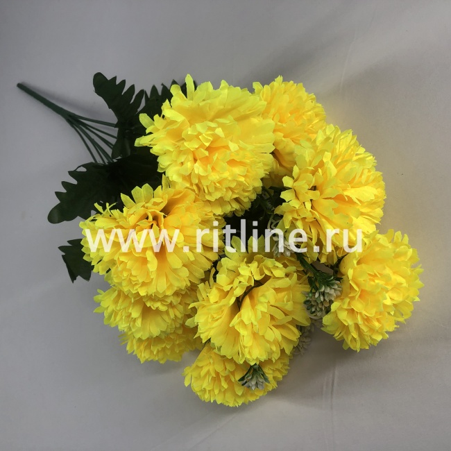 Букет гвоздик "FITTONE", 9г., выс. 55см, цв.микс