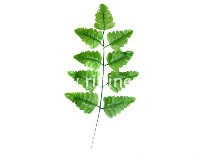 Лист папоротника, 9л, выс.41см, шелк,цв.зеленый Лист папоротника, 9л, выс.41см, шелк,цв.зеленый