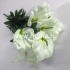 Букет калл "FITTONE", 9г, выс. 50см, цв.микс