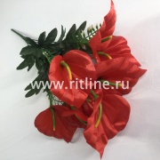 Букет калл, 9г, выс. 50 см, цв. микс FITTONE