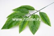 Ветка манго "FITTONE", 7л, выс.60см, с принтом, цв.зеленый Ветка манго "FITTONE", 7л, выс.60см, с принтом, цв.зеленый
